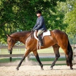 SIMON SAYS DANCE - Out of Already Dancin